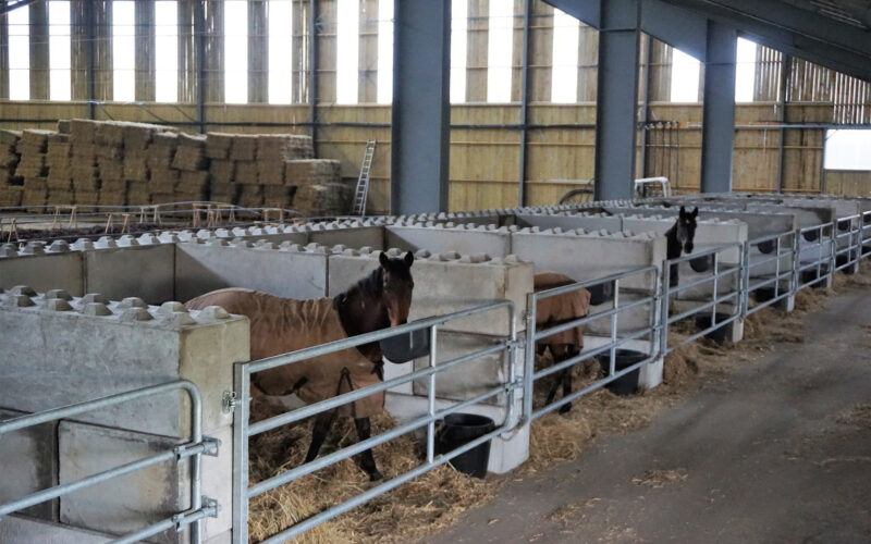 Blocs de béton dans l'écurie d'une ferme d'élevage